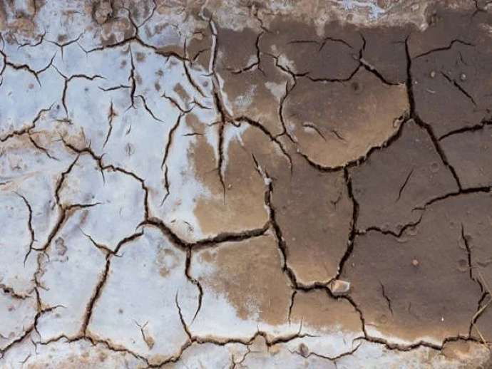 Αλάτωση του εδάφους μια μελέτη για την καταπολέμησή της